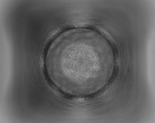 X0000112950687200909141408