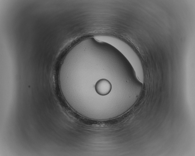 X0000112950688200909141408