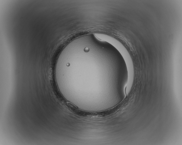 X0000112950689200909141408