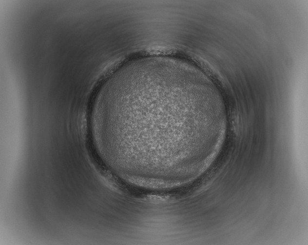 X0000112950690200909141408