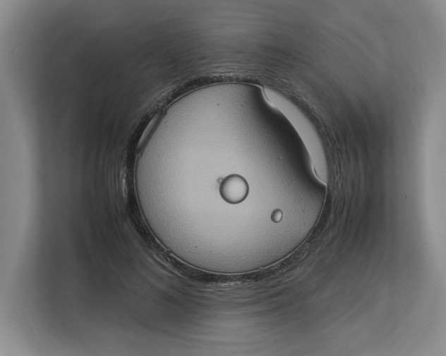 X0000112950692200909141408