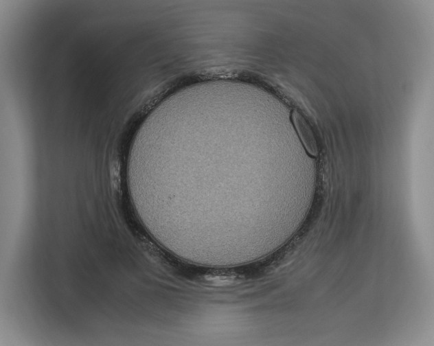 X0000112950693200909141408