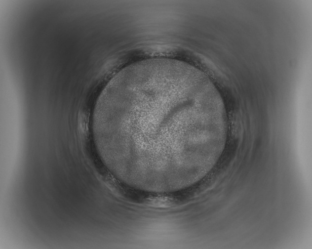 X0000112950695200909141408