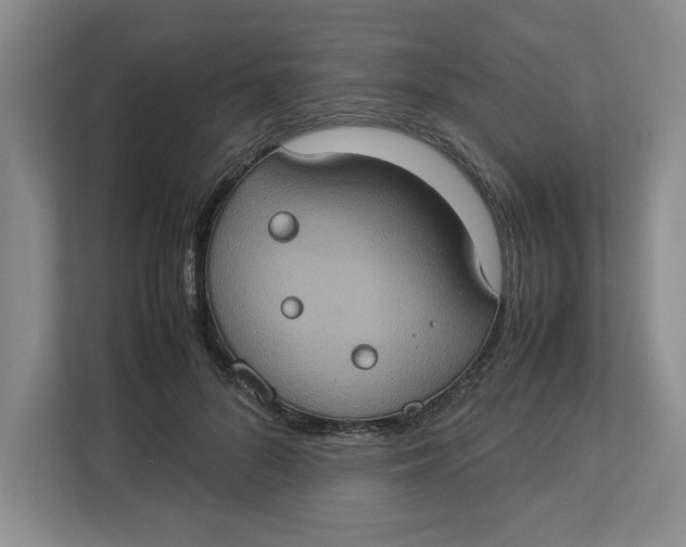 X0000112950696200909141408