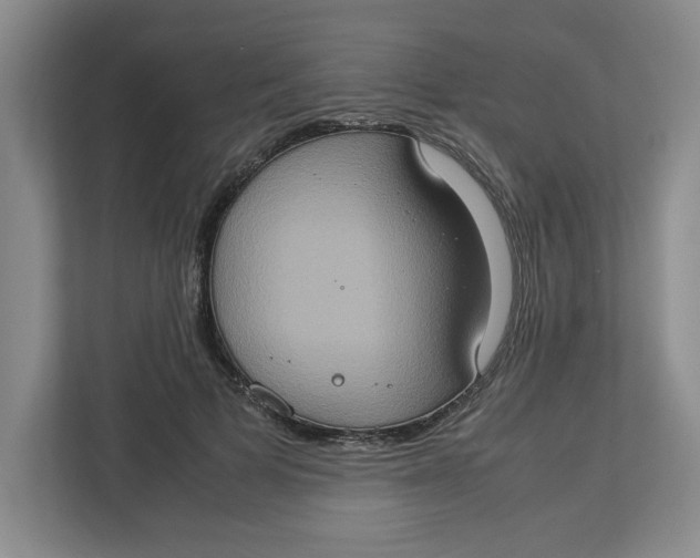 X0000112950697200909141408