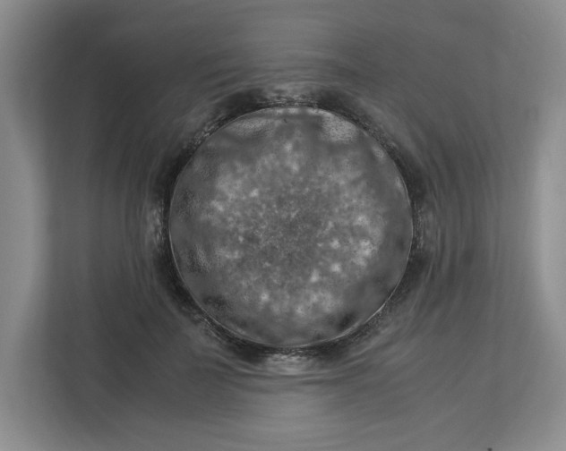 X0000112950699200909141408