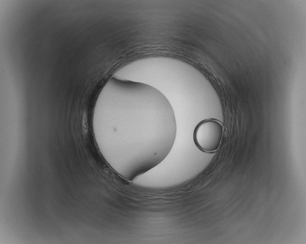 X0000112950700200909141408