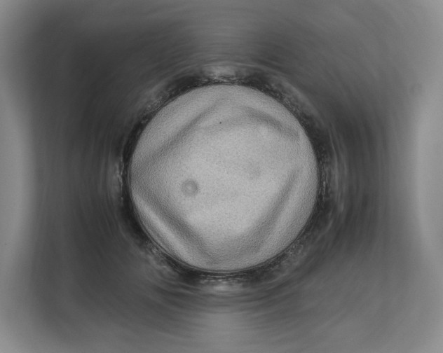 X0000112950702200909141408