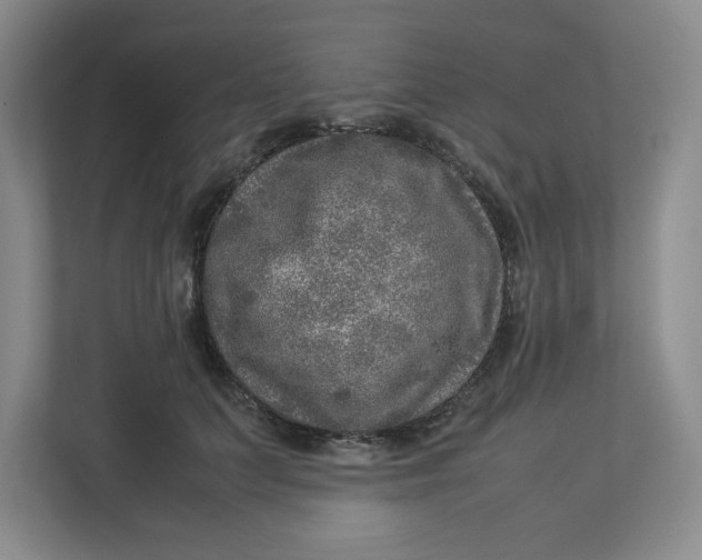 X0000112950703200909141408