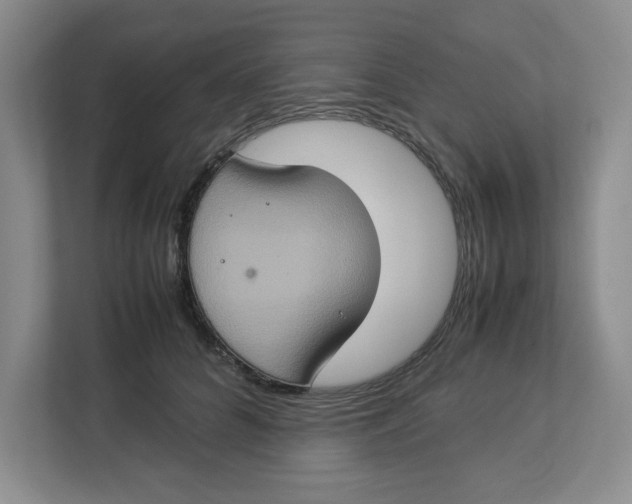 X0000112950704200909141408