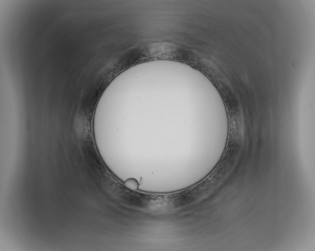 X0000112950705200909141408