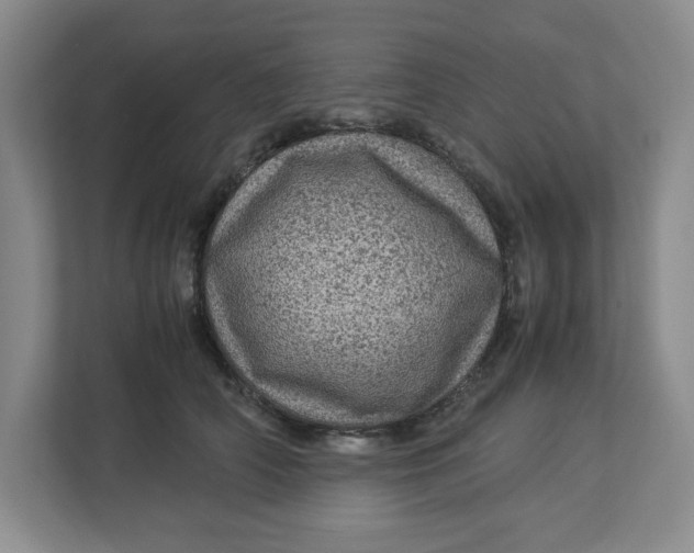 X0000112950706200909141408