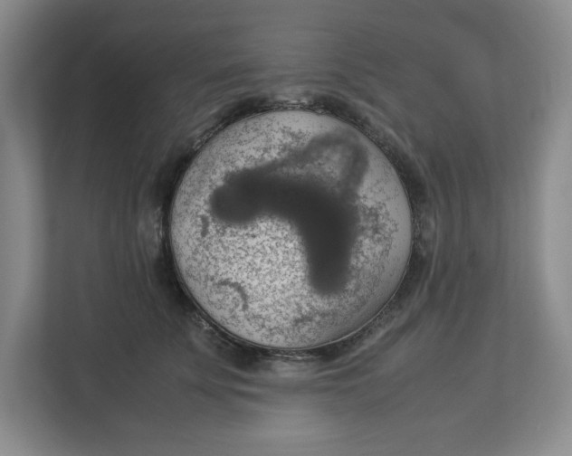 X0000112950707200909141408