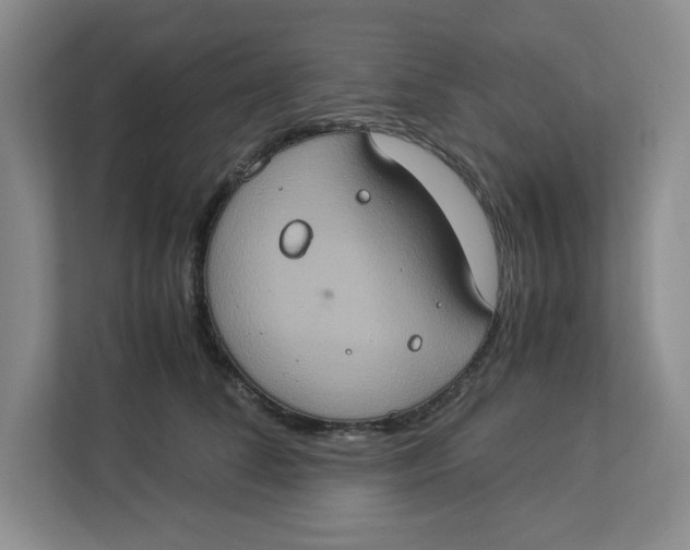 X0000112950708200909141408