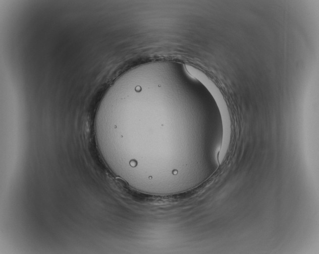 X0000112950709200909141408