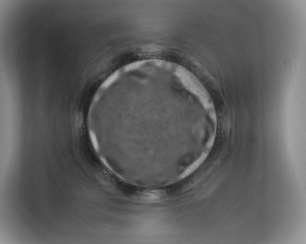 X0000112950711200909141408