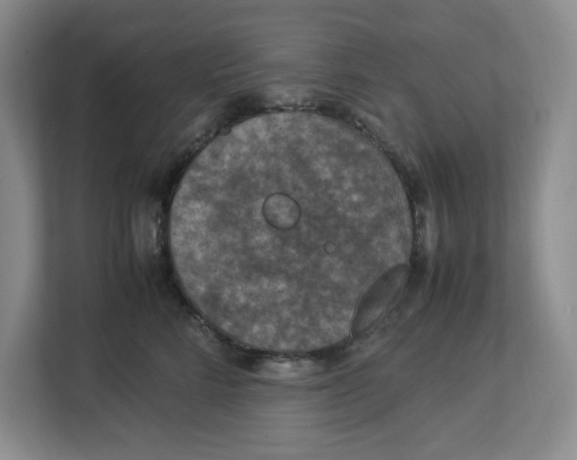 X0000112950712200909141408