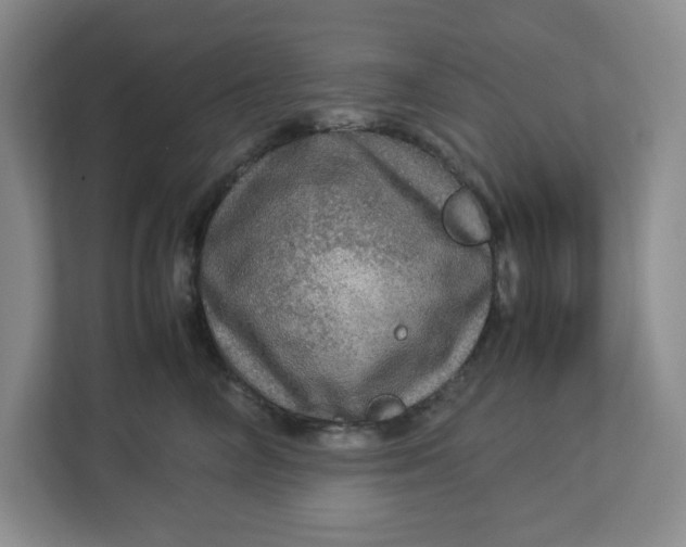 X0000112950714200909141408