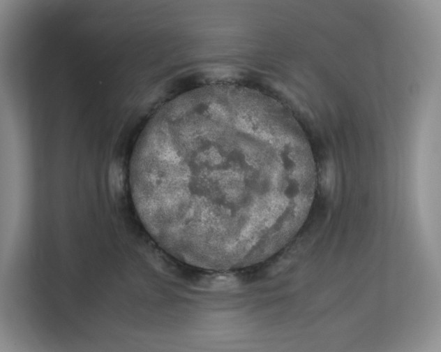 X0000112950715200909141408