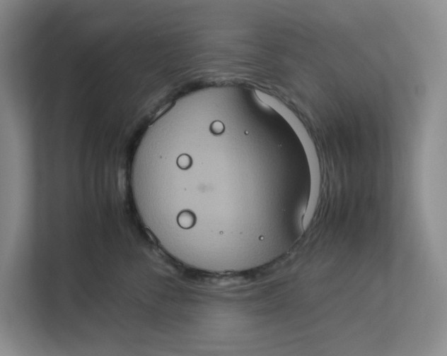 X0000112950716200909141408