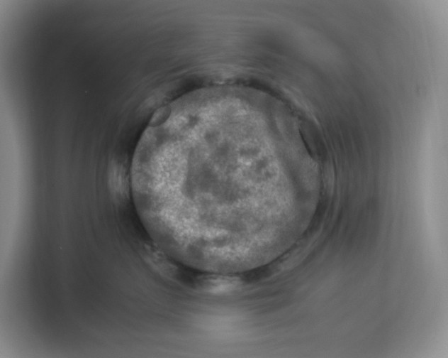 X0000112950719200909141408