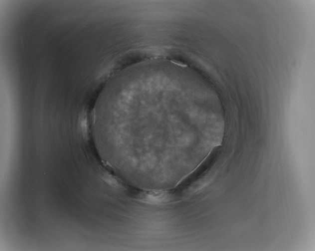 X0000112950720200909141408