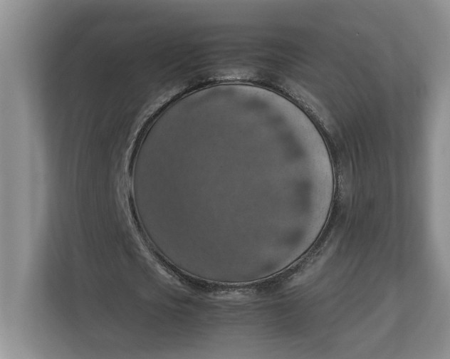 X0000112950721200909141407