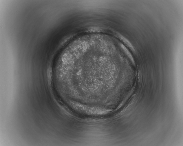 X0000112950722200909141407