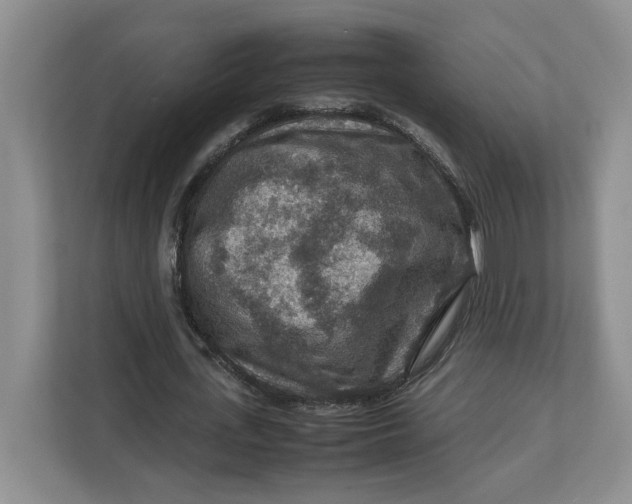 X0000112950723200909141407