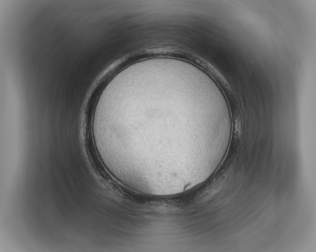 X0000112950724200909141407