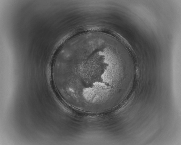 X0000112950725200909141407