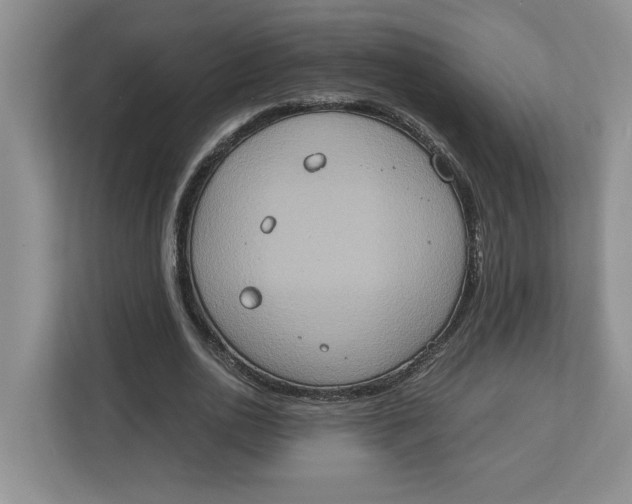 X0000112950726200909141407