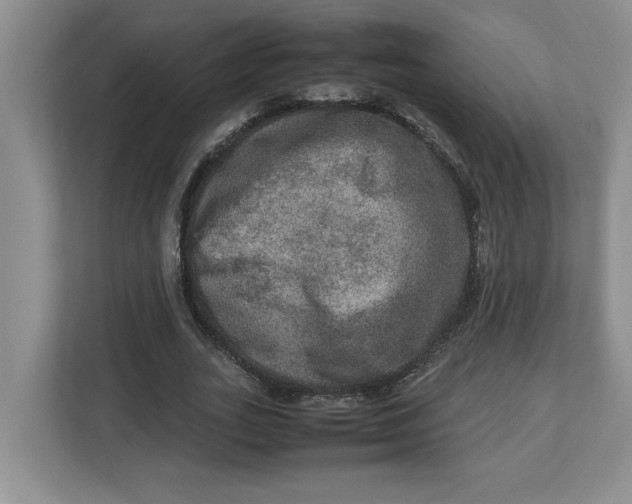 X0000112950727200909141407