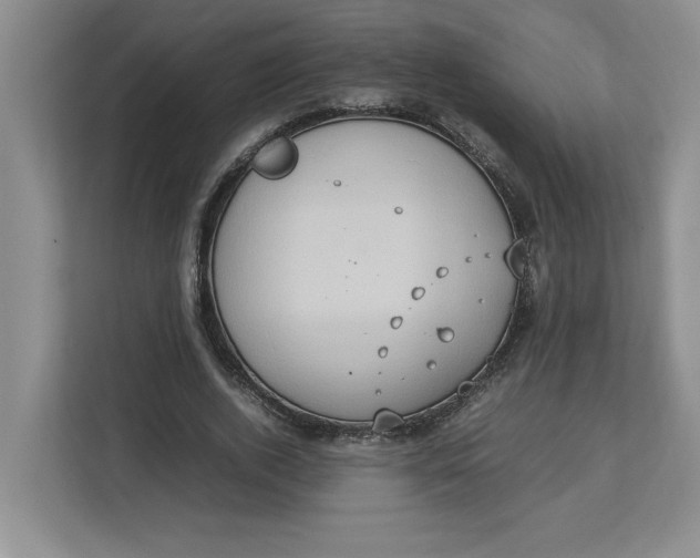 X0000112950728200909141407