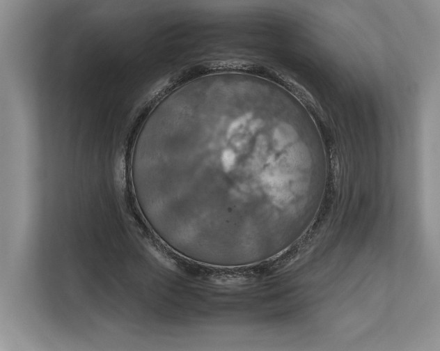 X0000112950729200909141407