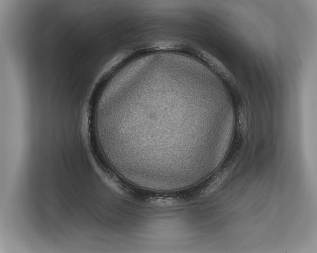 X0000112950730200909141407