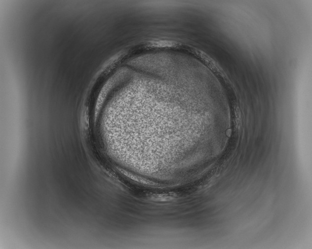 X0000112950731200909141407