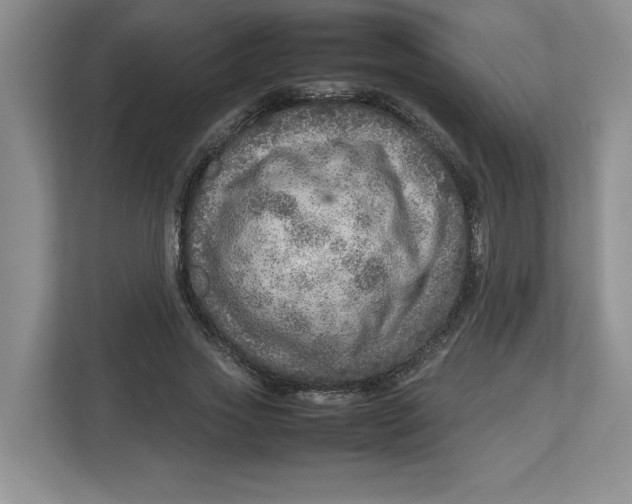 X0000112950733200909141407