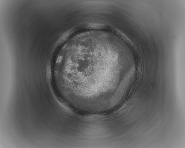 X0000112950734200909141407