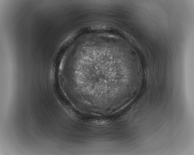 X0000112950735200909141407