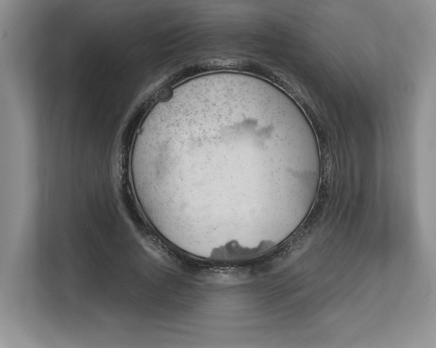 X0000112950736200909141407