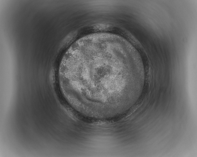 X0000112950738200909141407