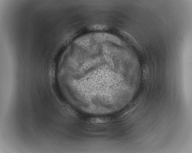 X0000112950739200909141407