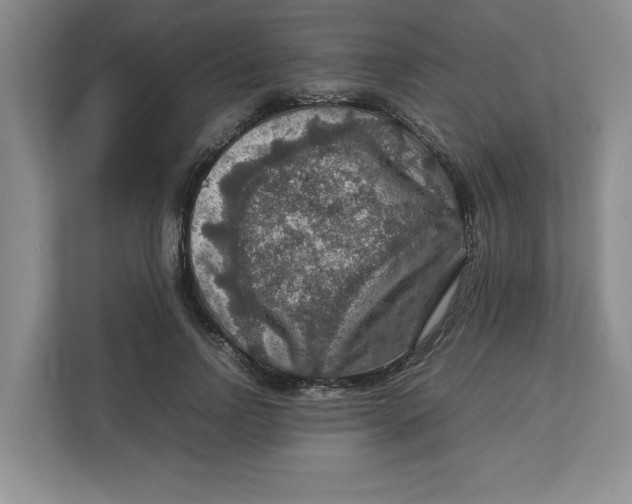 X0000112950742200909141407