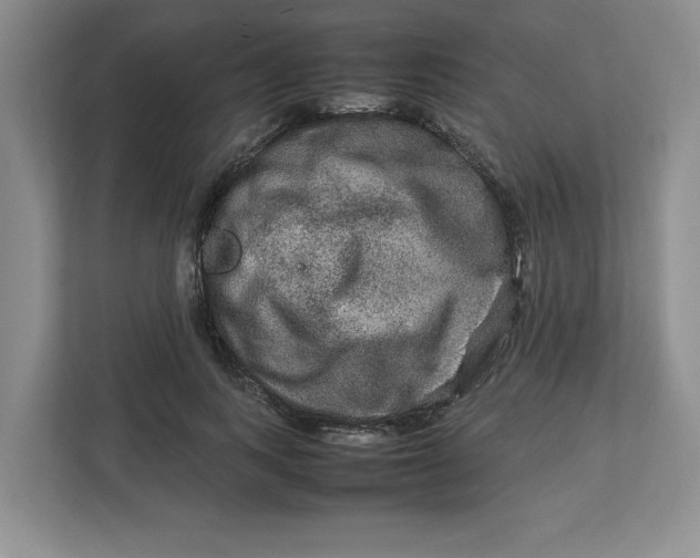 X0000112950743200909141407