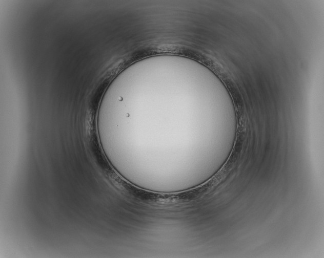 X0000112950744200909141407