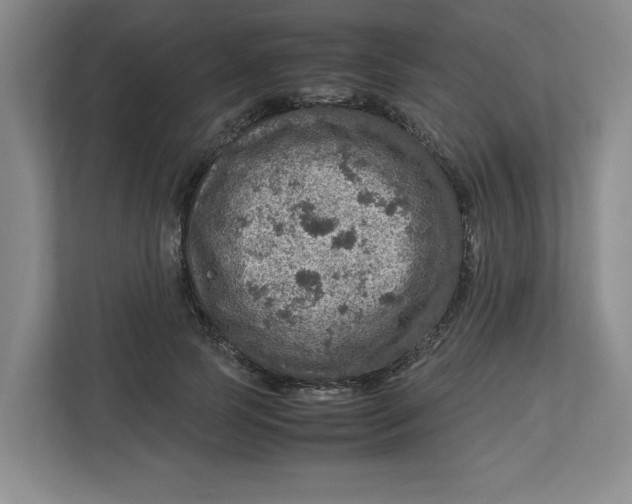 X0000112950745200909141407