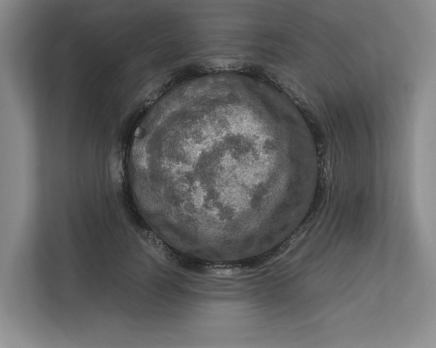 X0000112950746200909141407