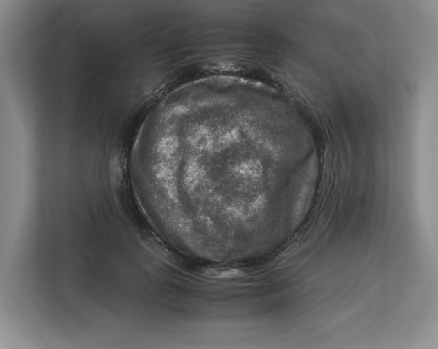 X0000112950747200909141407