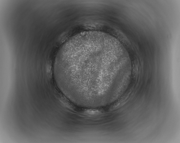 X0000112950749200909141407